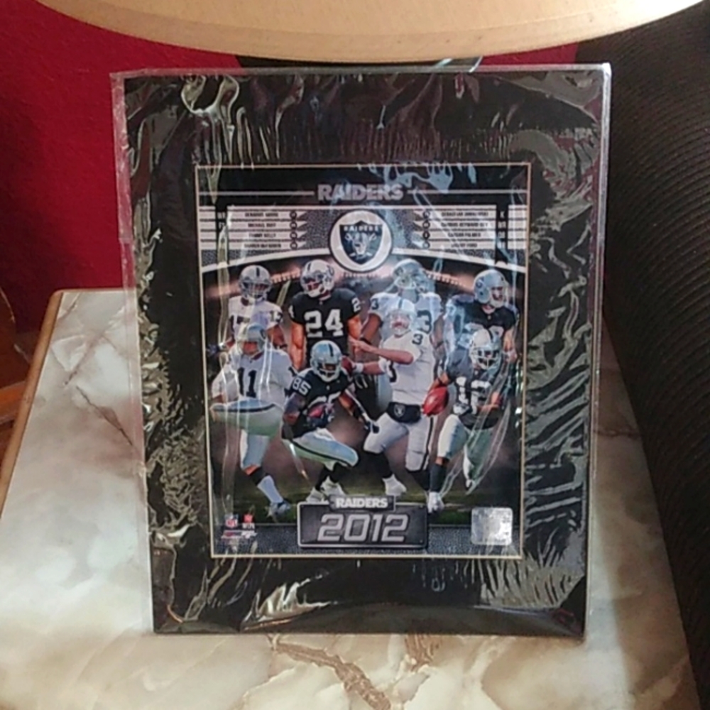 Uniquely Numbered NFL Licensing Hologram. Premium Quality8x10 Color Photograph